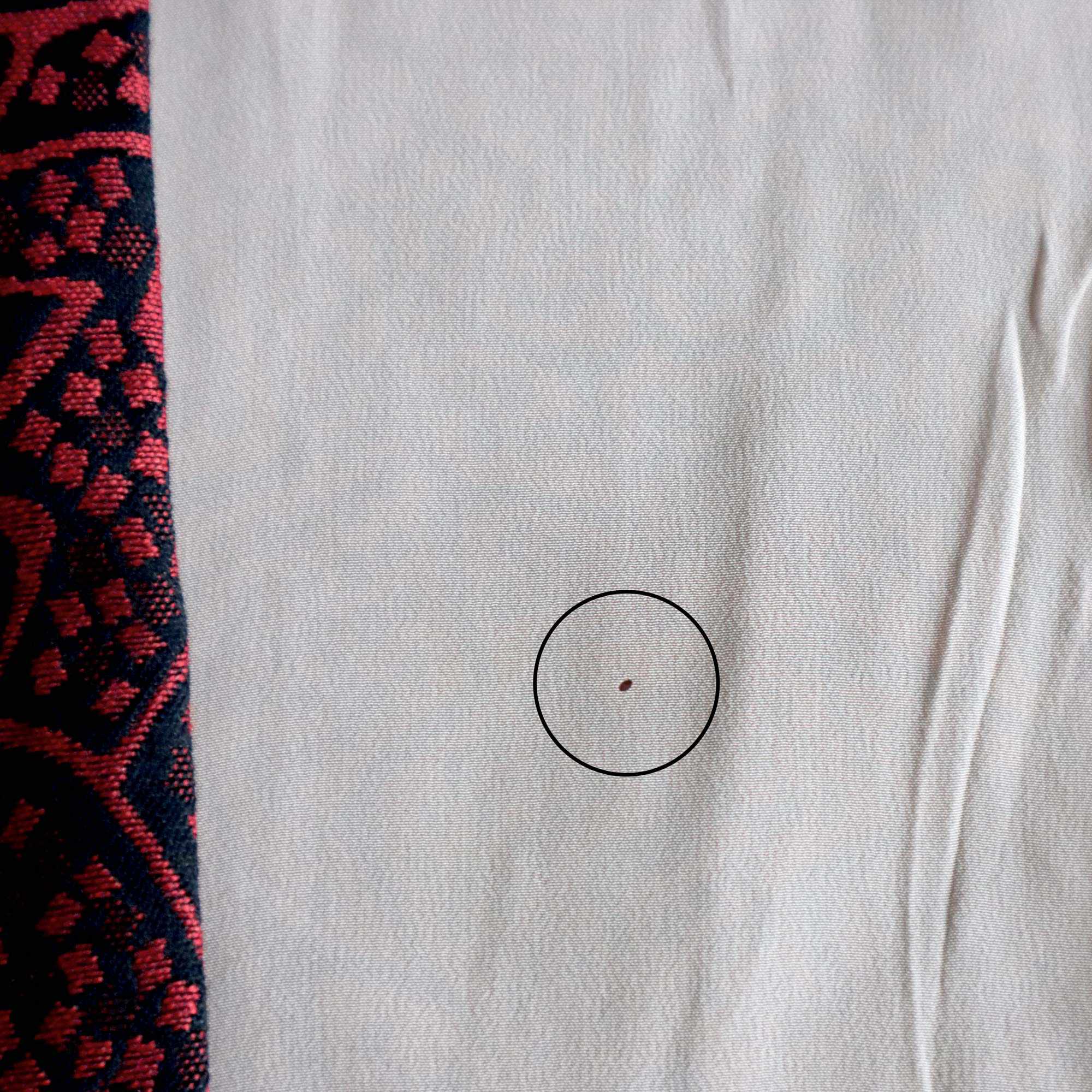 Haori - Éclats Géométriques